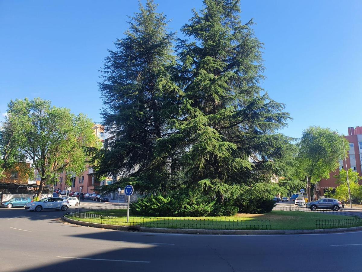 Duplex 2 Plantas - C Alcala-Ifema-Ventas- Jardin & Parking Privados- Suites Boutique Wh Madrid Exterior photo